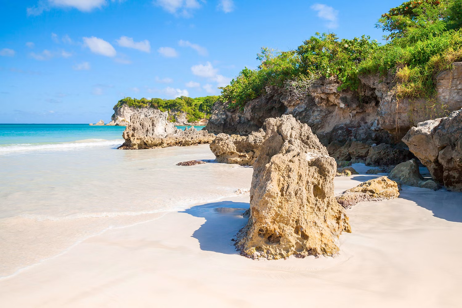 Horseback Beach Riding — 3
