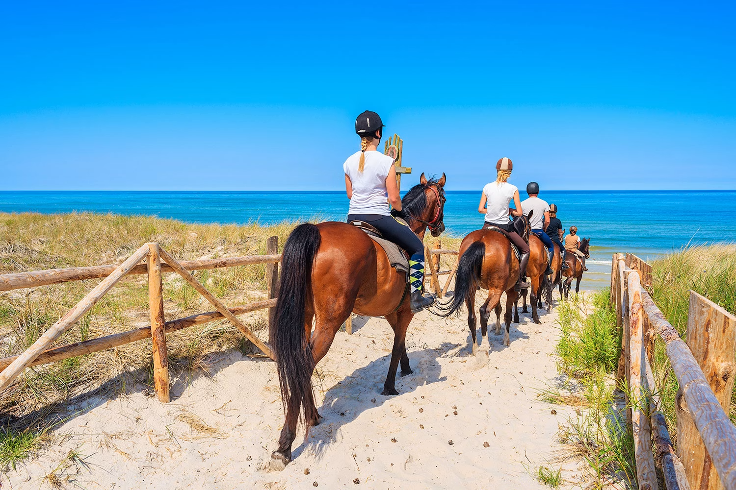 Horseback Beach Riding — 1
