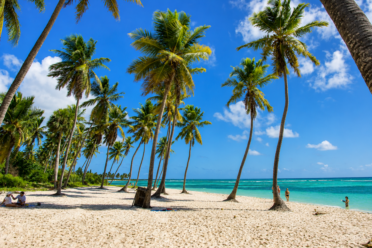 Saona Island Tour — 1