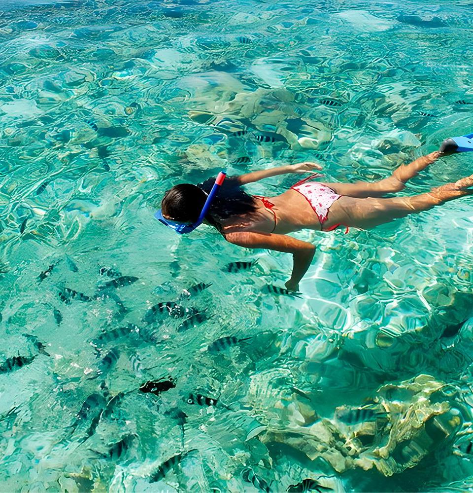Best Snorkeling in Punta Cana: 7 Top Spots & Tours (2026)