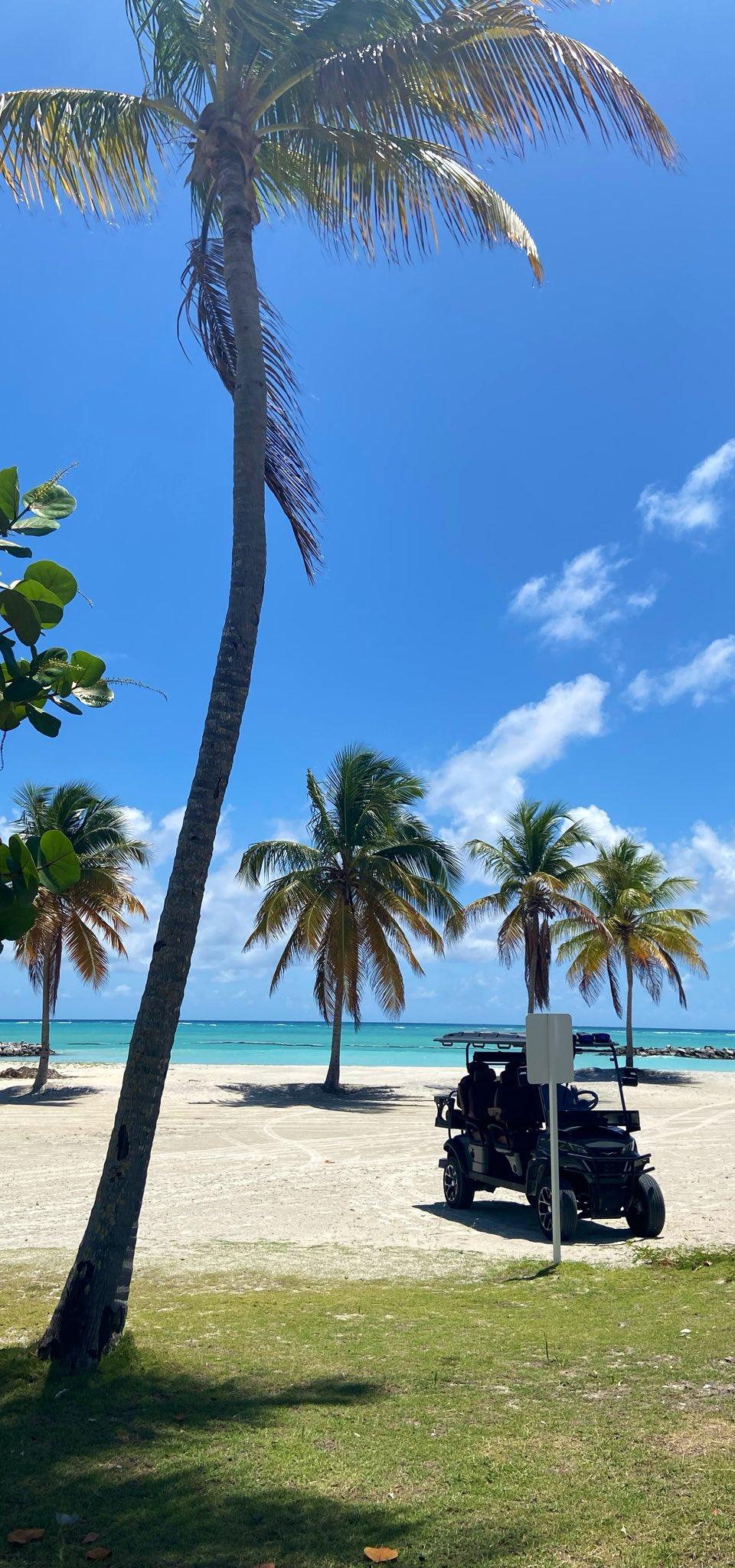 Meilleure période pour visiter Punta Cana (2026) : mois par mois — météo, prix, sargasses