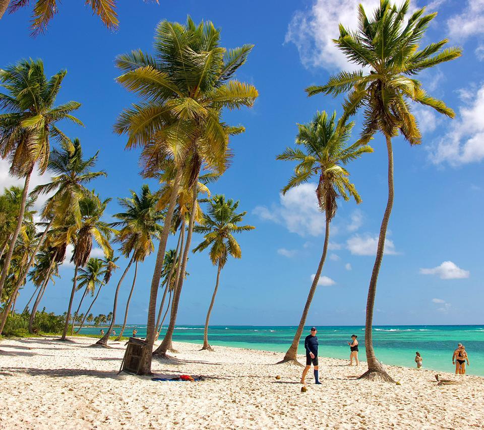 Our 4-Beach Saona Tour vs Mass-Tourism Saona: The Honest Comparison