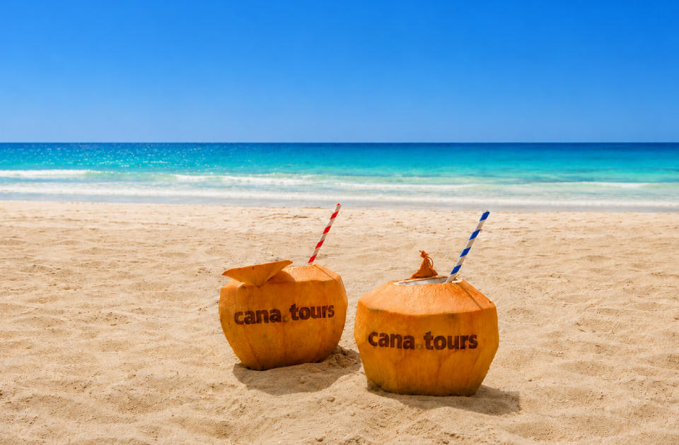 ¿Cuánto cuestan las excursiones en Punta Cana? Precios honestos 2026