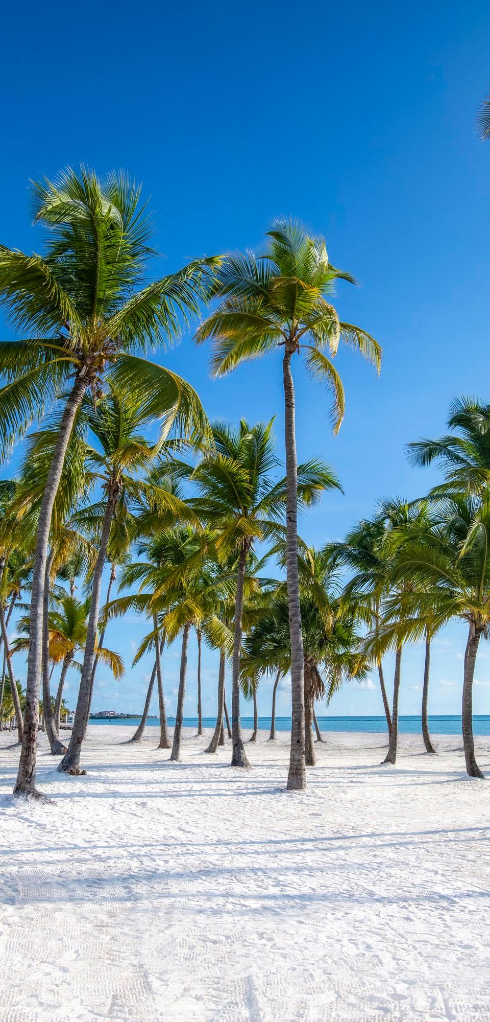 Juanillo Beach Cap Cana: Der schönste Strand in Punta Cana (2026)