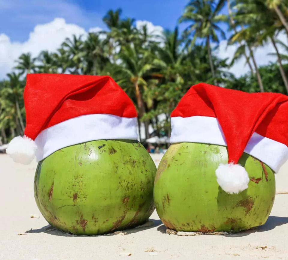 Punta Cana in December: Weather, Crowds & What to Book