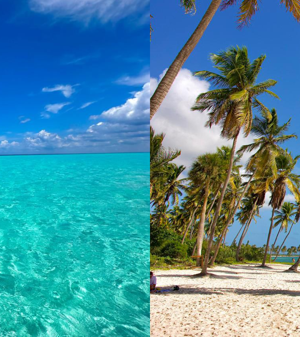 Saona Island vs Catalina Island (2026): The Honest Local Comparison You Need Before Booking
