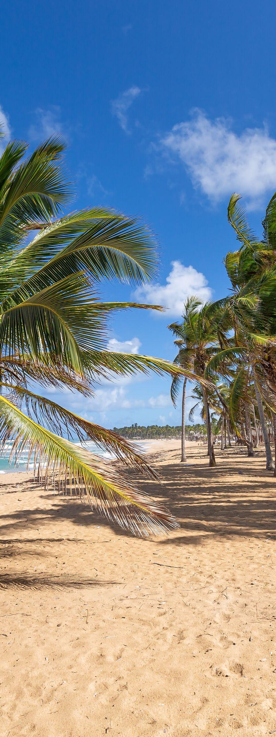 Uvero Alto Punta Cana: Guide zur ruhigen Nordküste (2026)