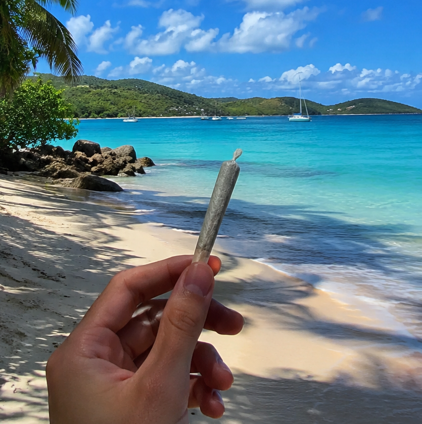 Weed in the Dominican Republic (2026 Guide): Laws, Penalties & What Tourists Should Know