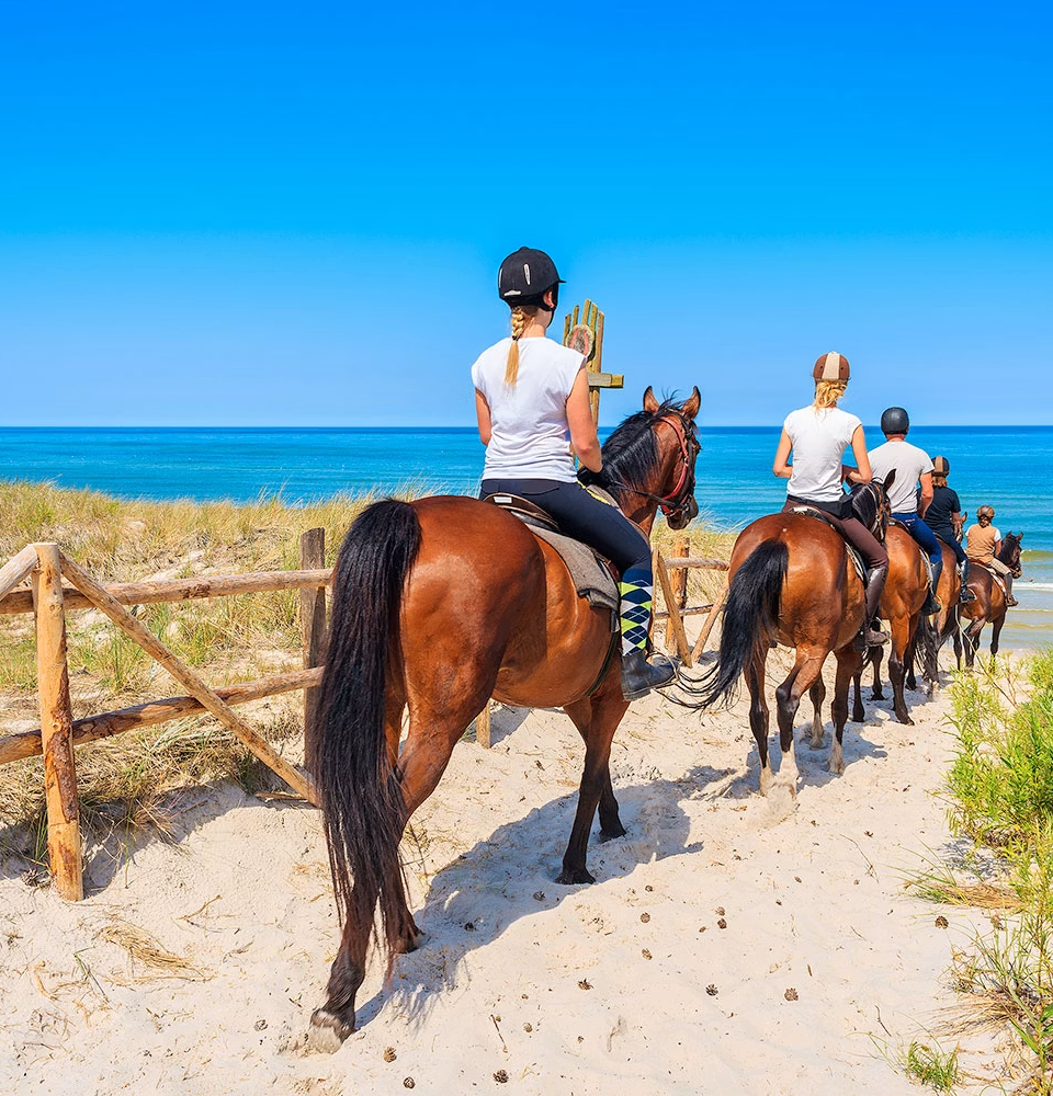 Privat · Reiten am Strand