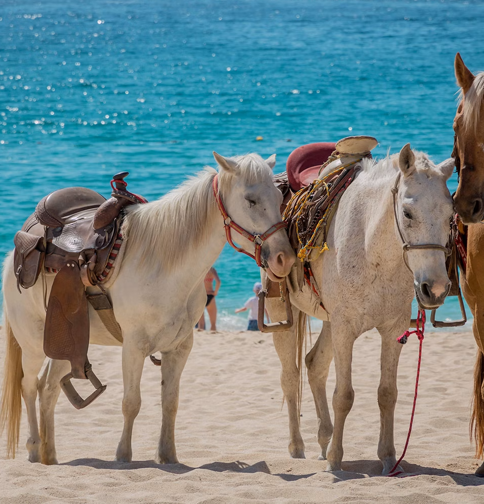 Cabalgata en la playa — 3